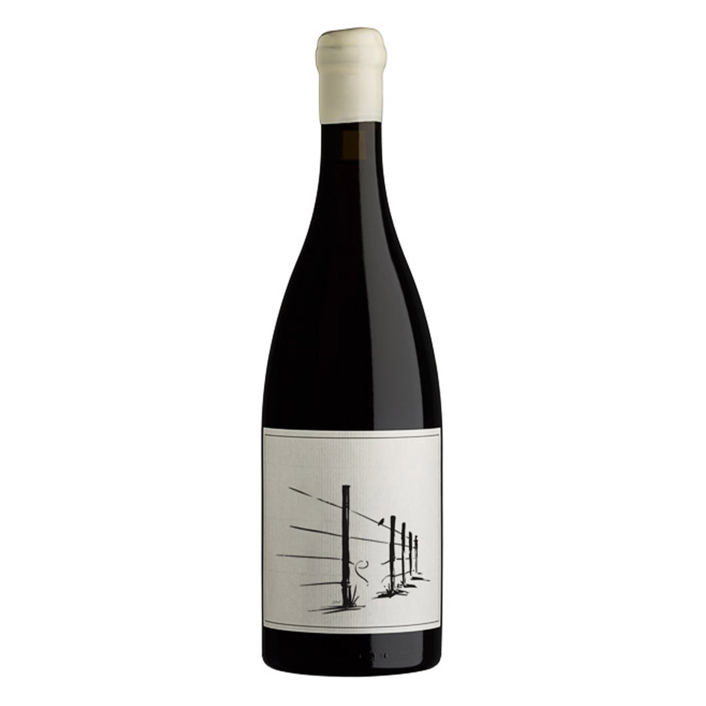 Savage Thief In The Night