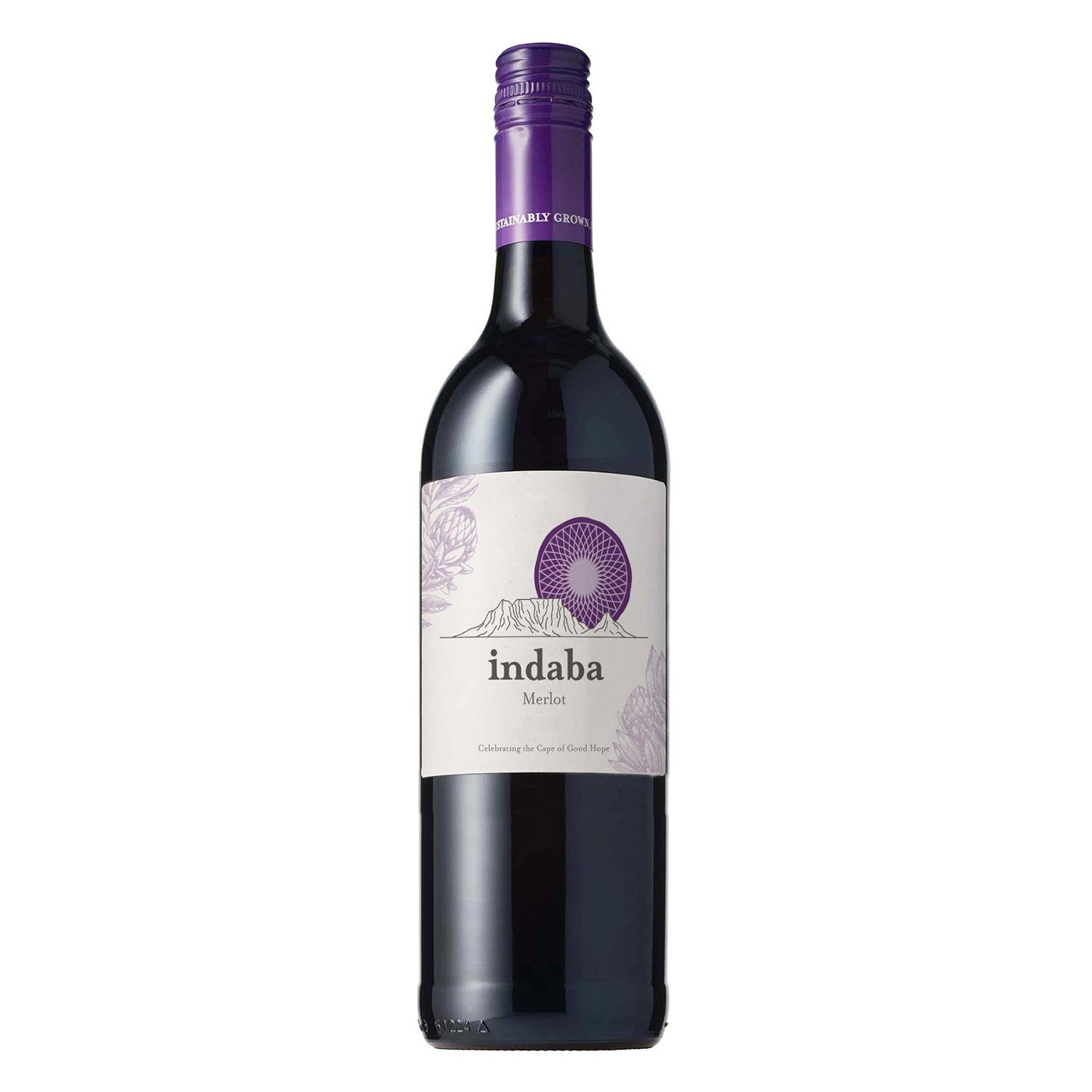 Indaba Merlot