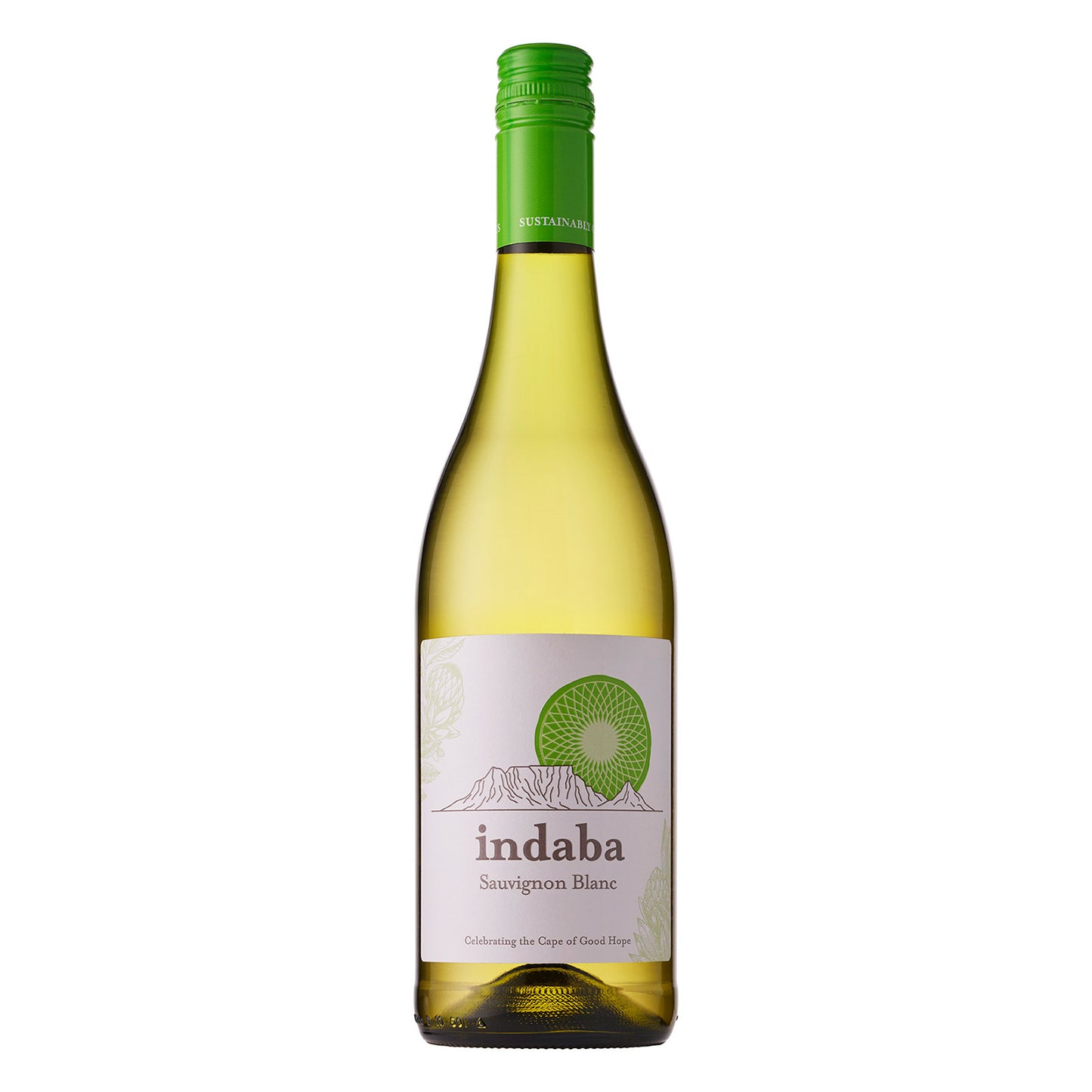 Indaba Sauvignon Blanc